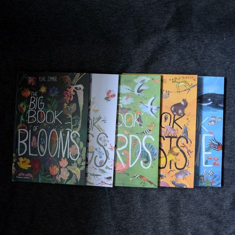 Big book 1.jpg