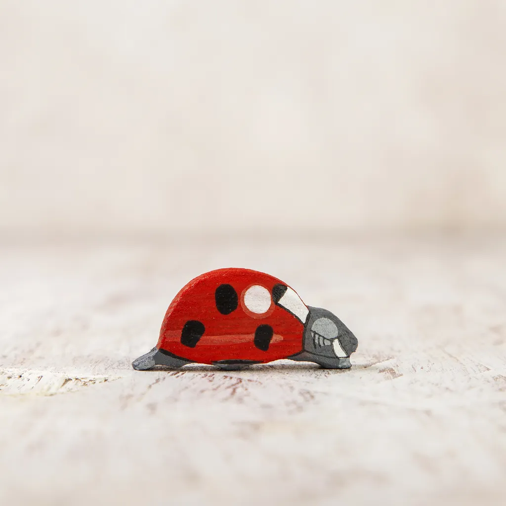 Ladybug.jpg