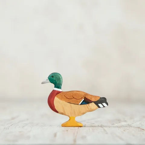 Mallard duck.jpg