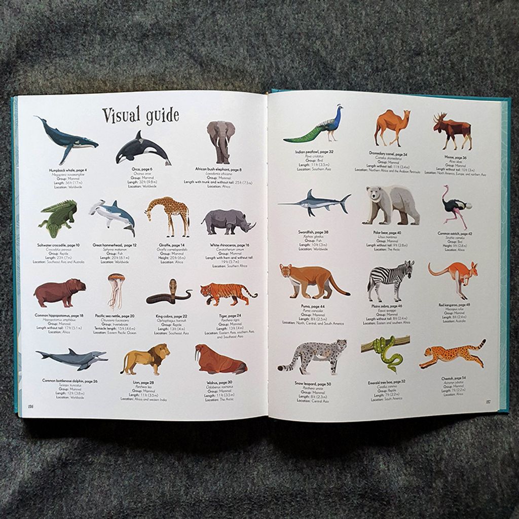 animals10.jpg