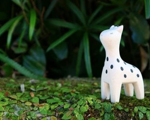 giraffe6.jpg