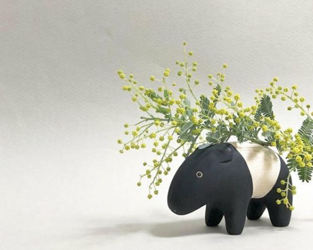 tapir5.jpg