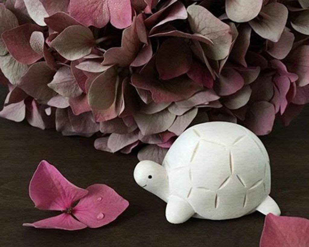 tortoise9.jpg