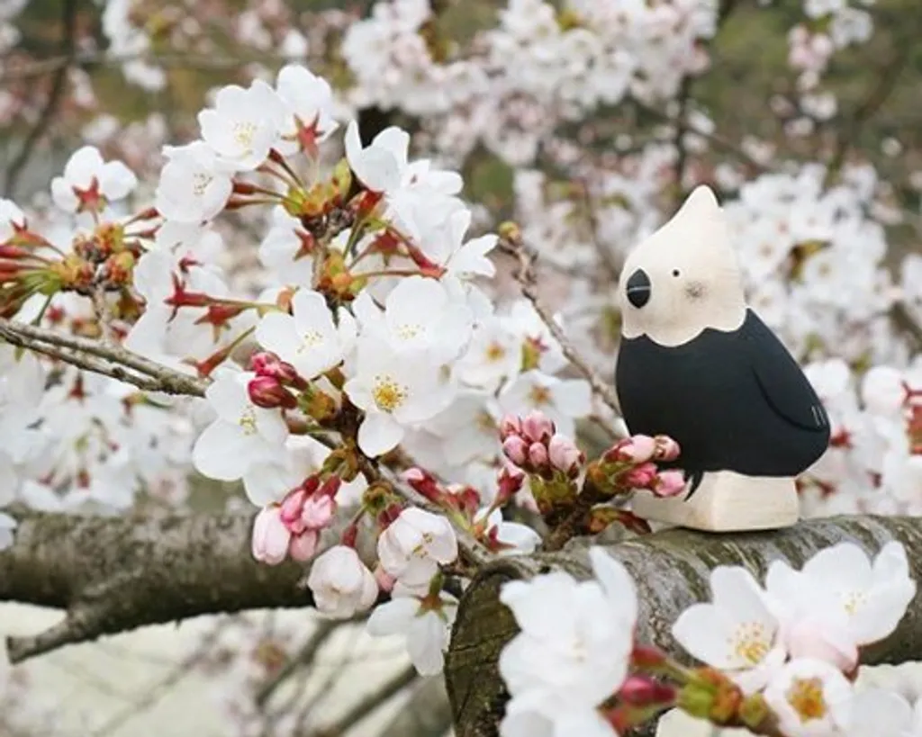 cockatiel6.jpg
