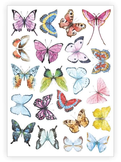 Butterflies