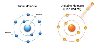 freeradical1.gif