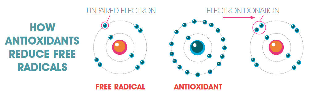 antioxidants-reduce-free-radicals.jpg