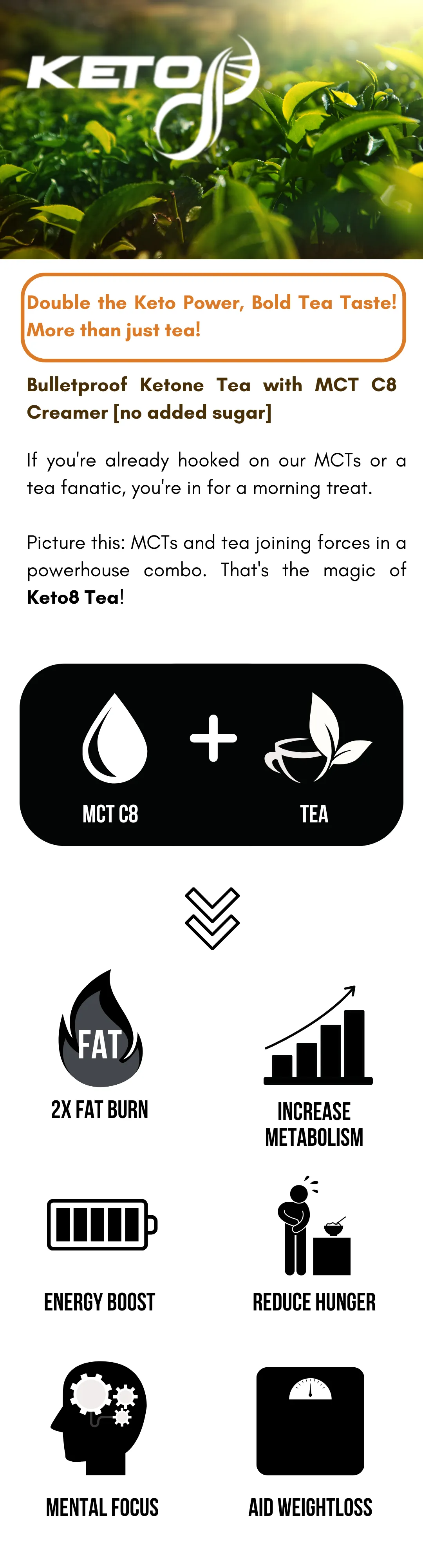 Keto8 Tea Infographic