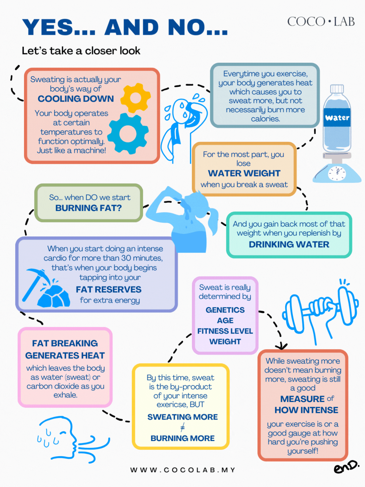 BLOG does sweat = burn fat  (2400 x 3200 px)