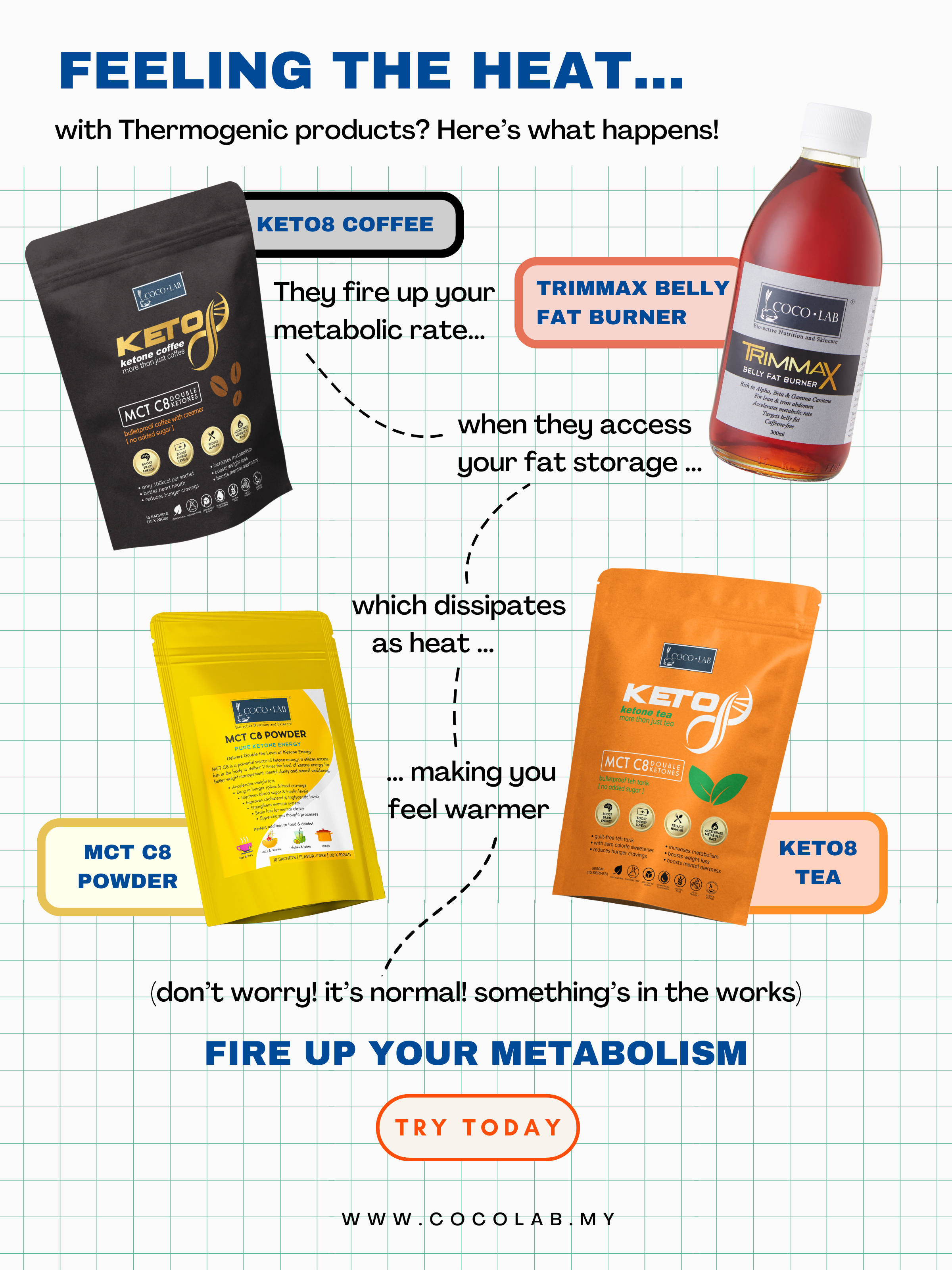 BLOG does sweat = burn fat  (2400 x 3200 px)