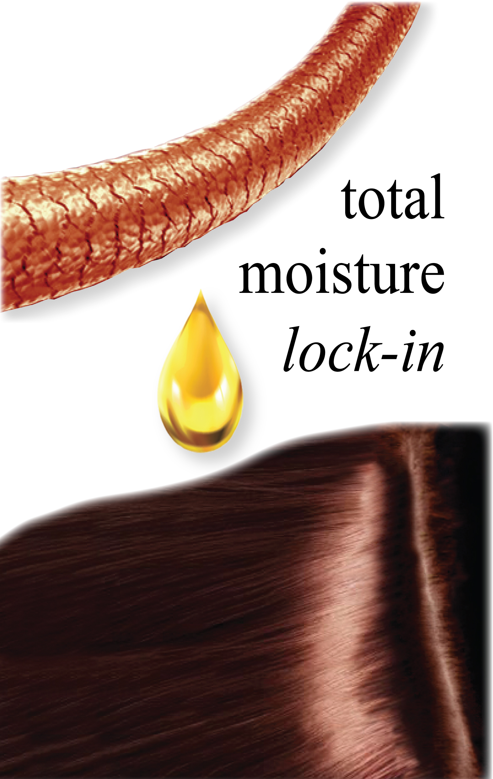 Moisture lock in poster.jpg