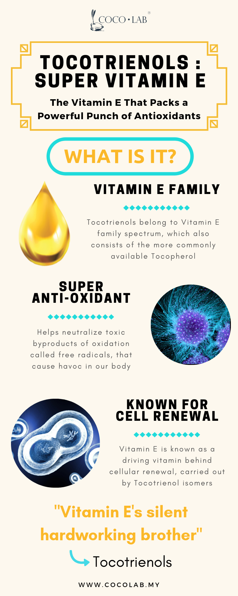 Tocotrienols infographic by COCOLAB
