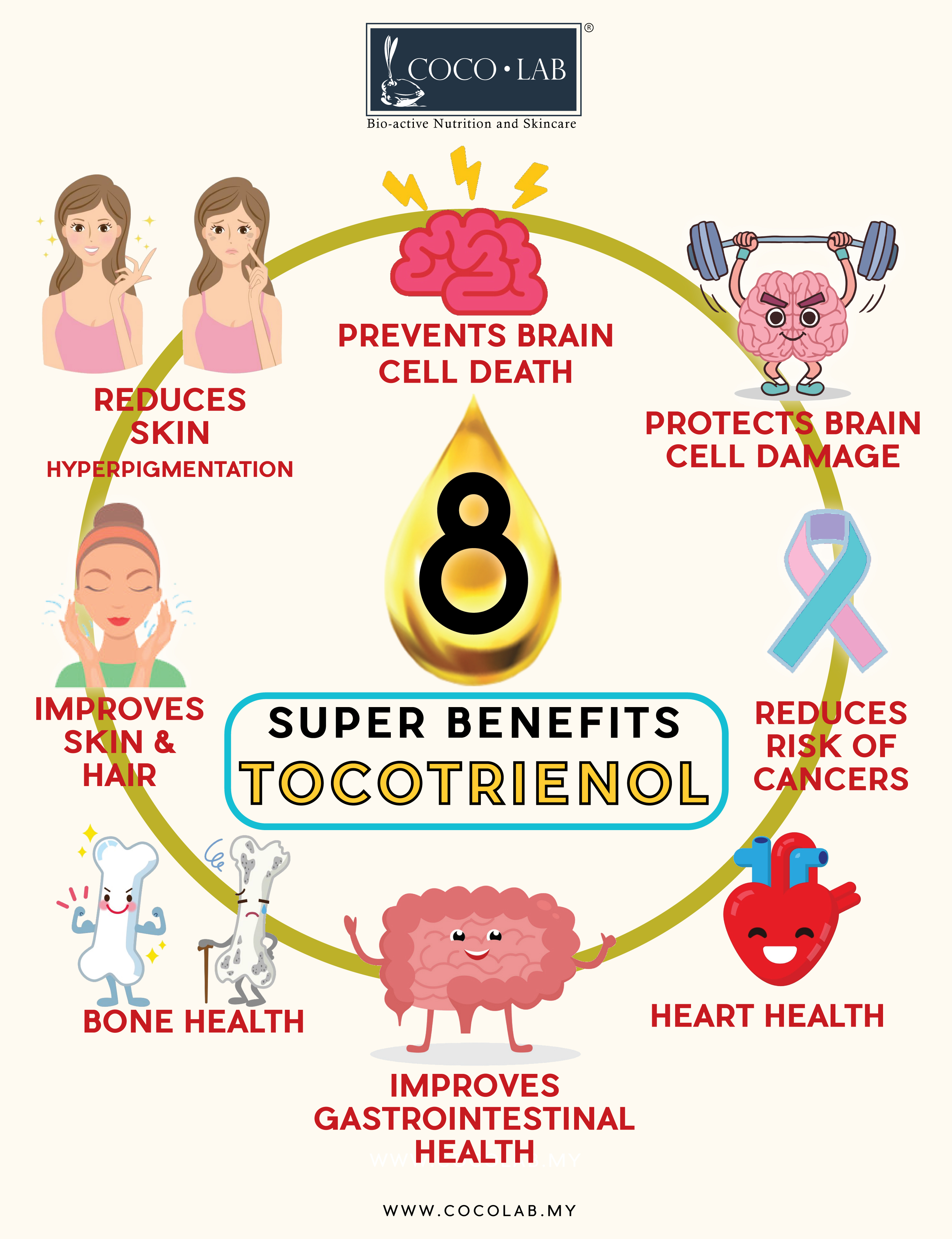 TOCOTRIENOLS BENEFITS DISPLAY POSTER - small with website.jpg TOCOTRIENOLS BENEFITS by COCOLAB