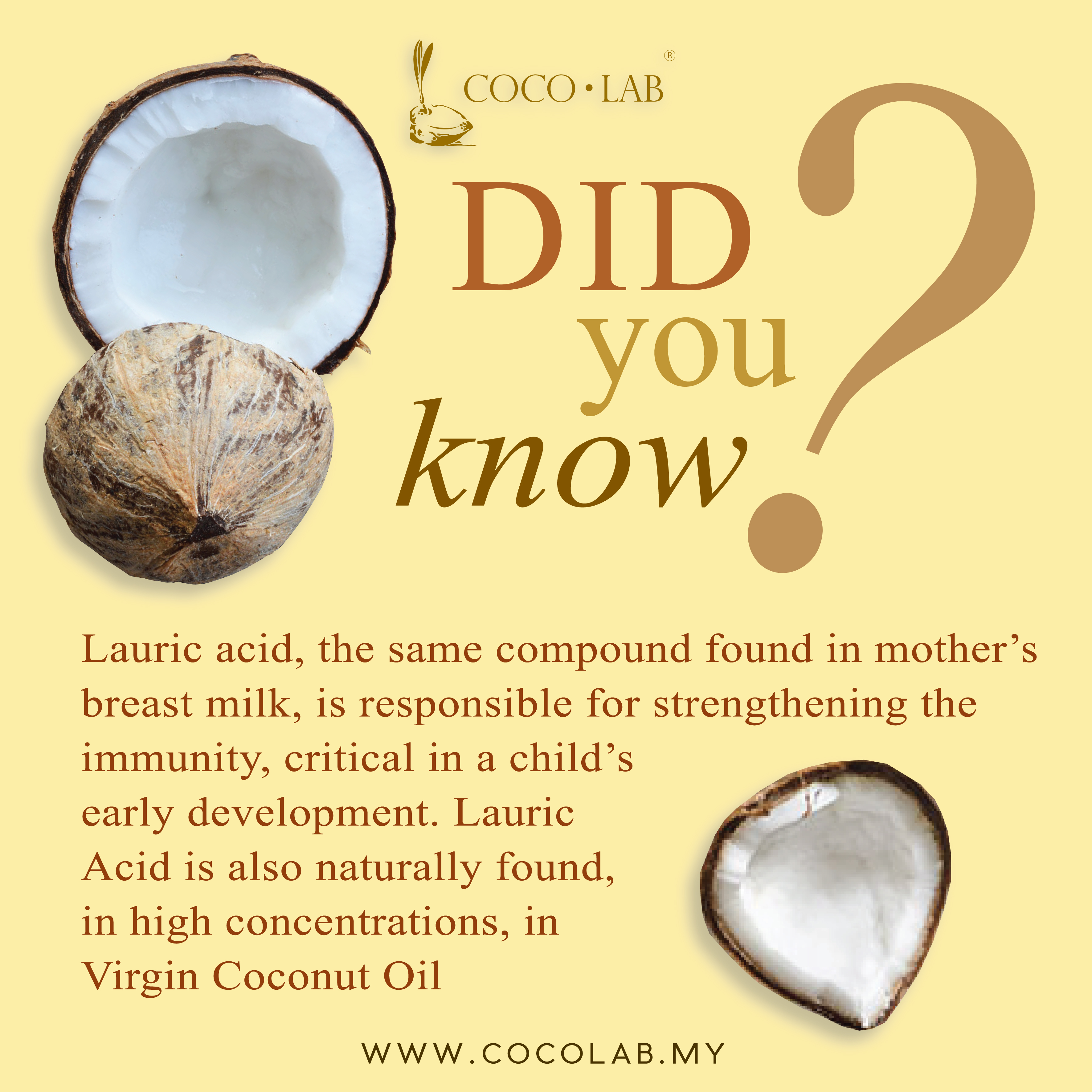 COCOLAB - DID YOU KNOW -Virgin Coconut Oil Lauric Acid