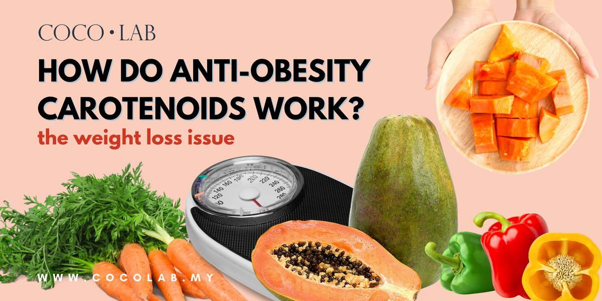 How Do Anti-Obesity Carotenoids Get Rid of Belly Fat?