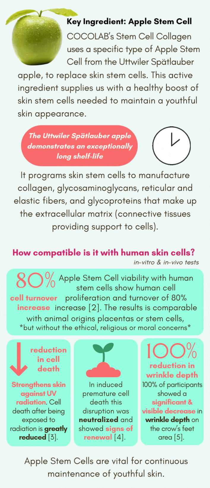 COCOLAB Stem Cell Collagen - Total beauty drink for skin repair
