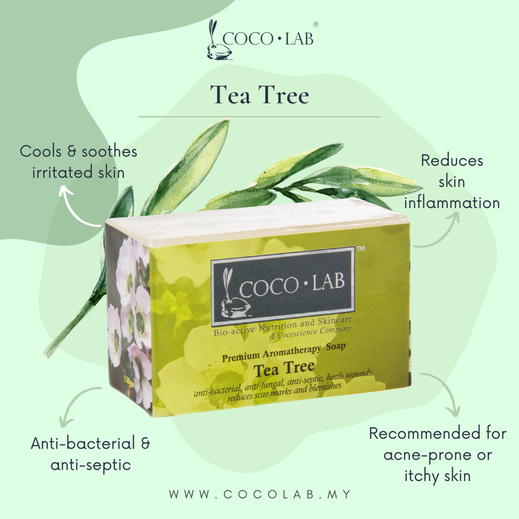 Body Soap Descript - Tea Tree.png