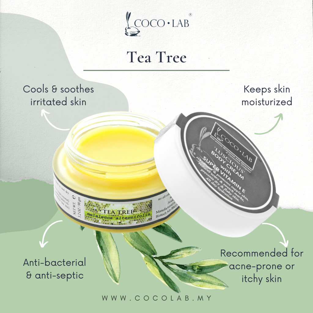 Body Cream Descript Square (Tea Tree).png