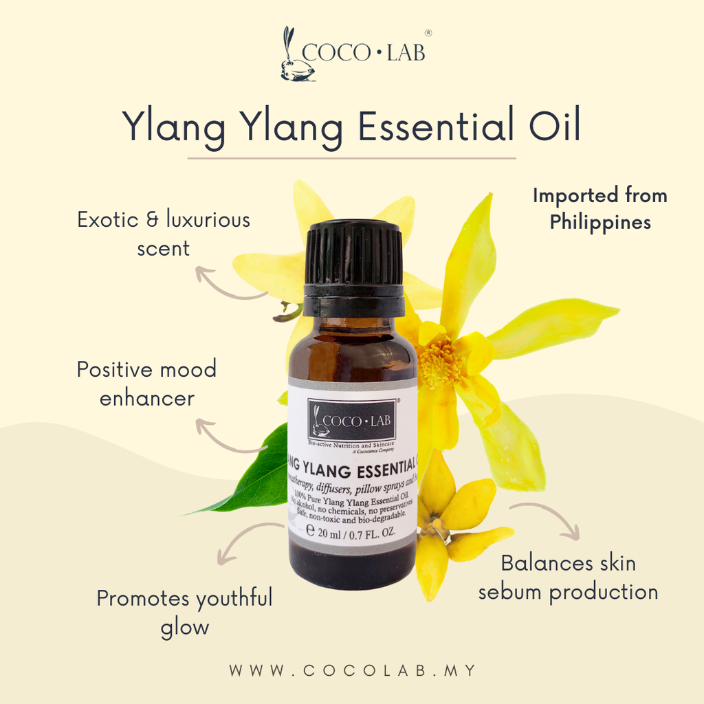 EO Descript - Ylang.png