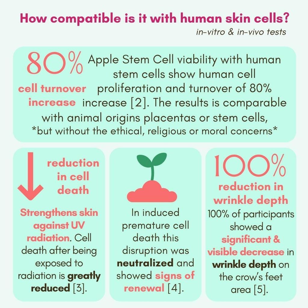 Stem Cell Collagen Description - Square (Instagram Post).jpg
