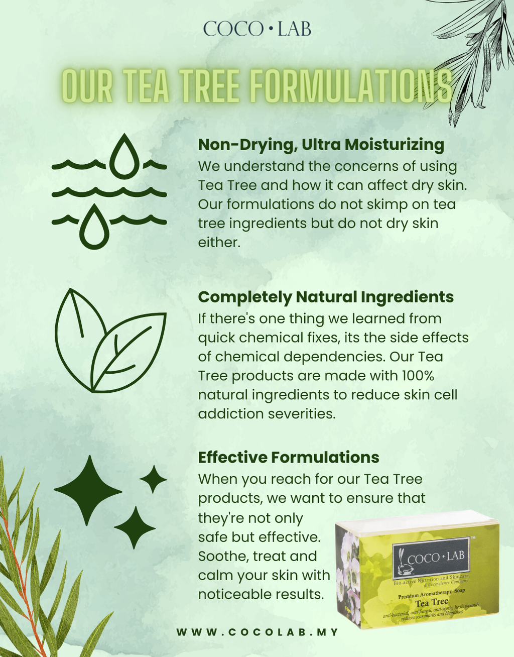 Tea Tree Promo - WEBSITE (long) (4)