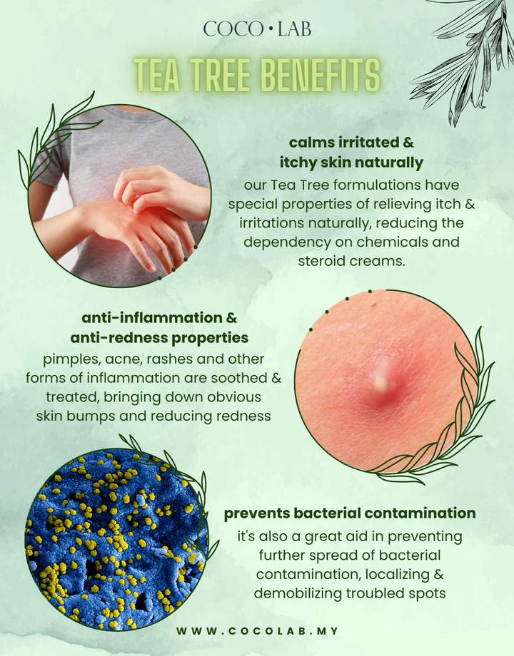 Tea Tree Promo - WEBSITE (long) (5)