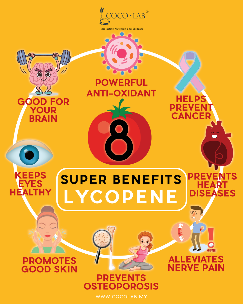 LYCOPENE BENEFITS POSTER - small size.png