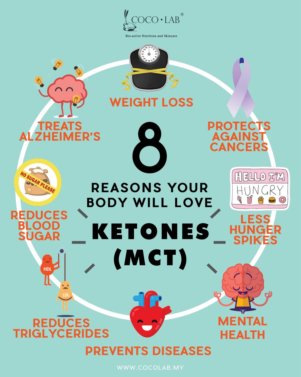 KETONE INFOGRAPHIC DISPLAY POSTER.jpg
