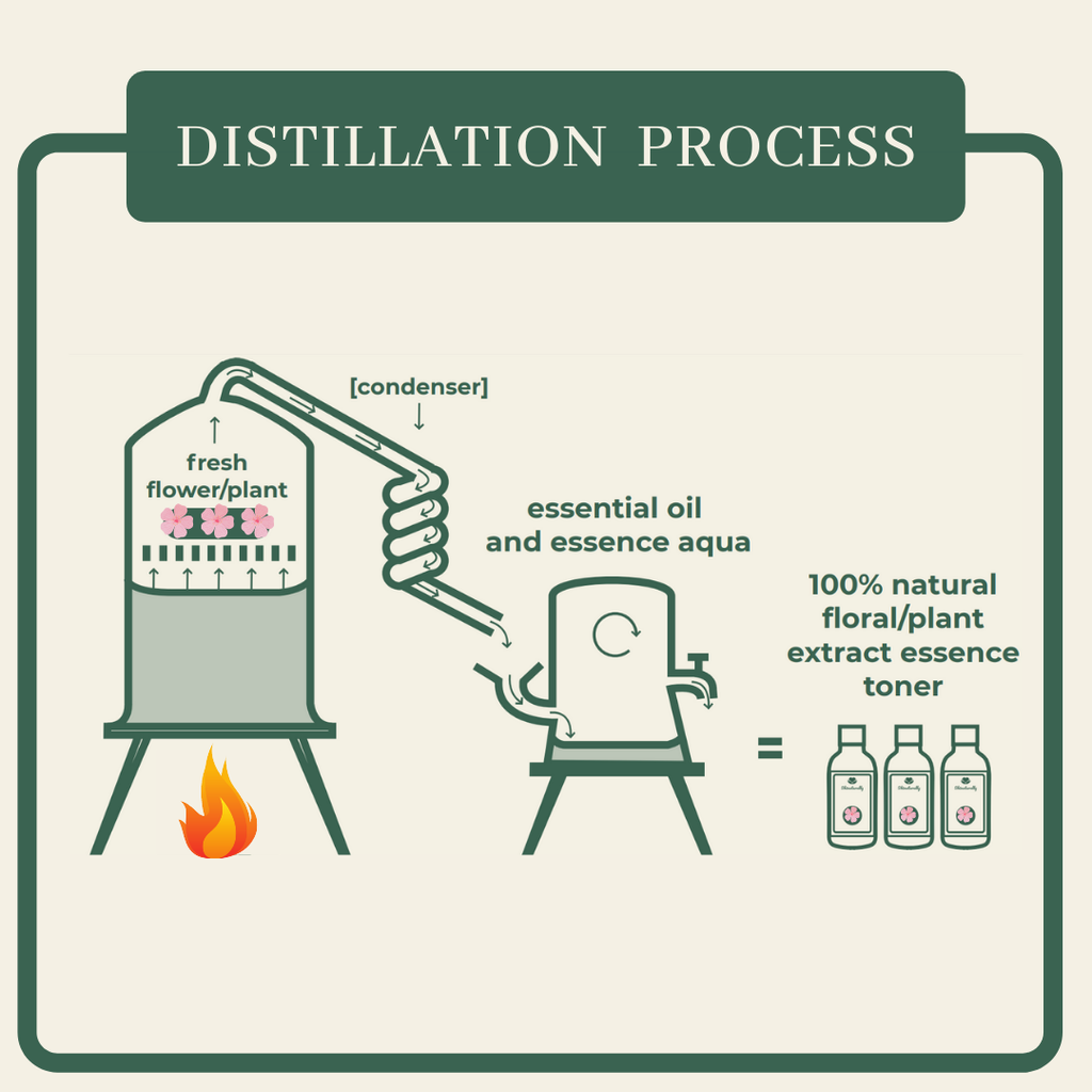 toner-distillation process.png