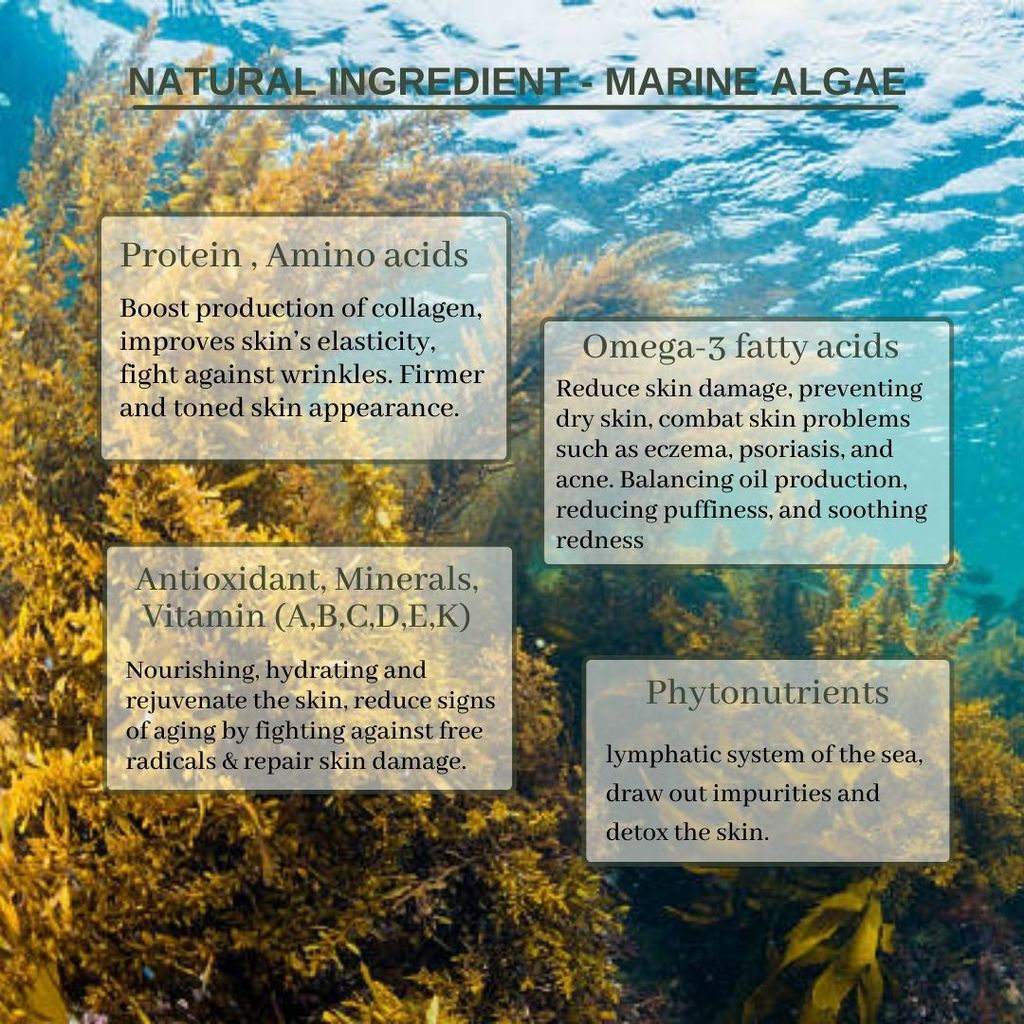 marine algae (DIY)-ENG - raw mat,natural,steps (8).jpg