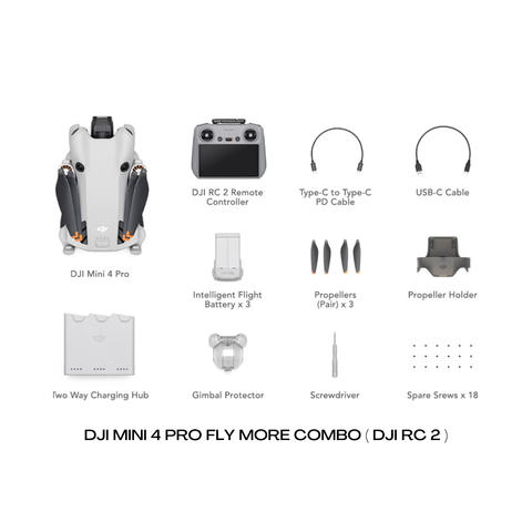 Protection Plus DJI Mini 4 Pro Fly More Combo - DJI