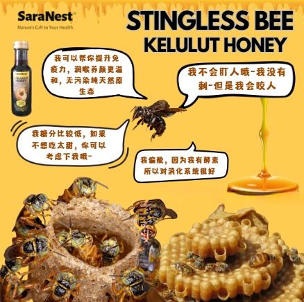 SARANEST KELULUT HONEY 170G 6