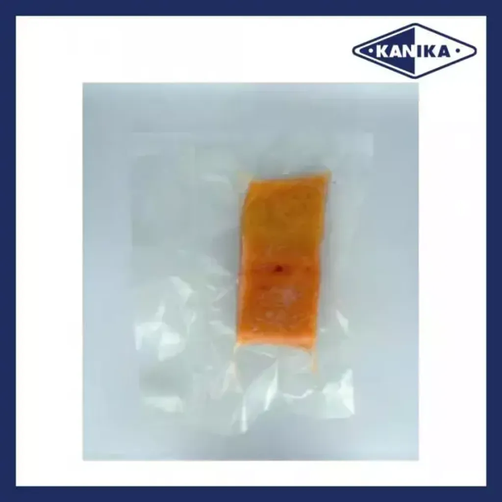 frozen-salmon-fillet-600x600
