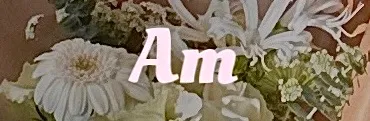 the.am.