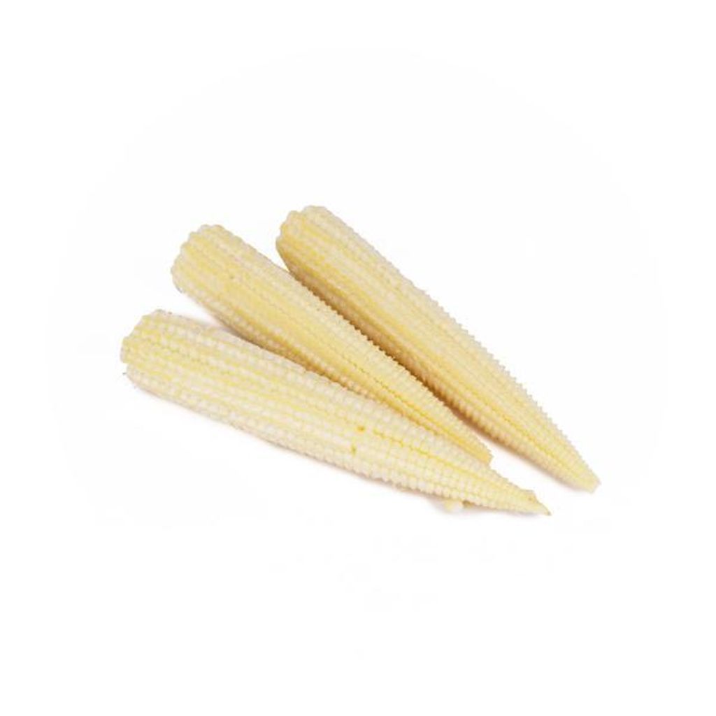 Corn Baby 玉米芯.jpg