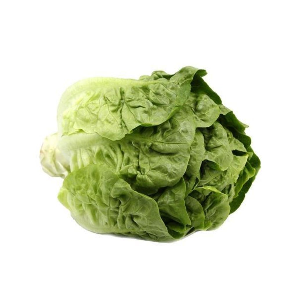 Lettuce Baby Romaine 小油麦胆.jpg