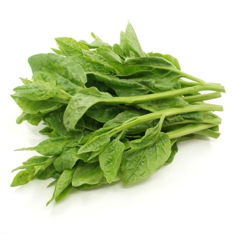 Vege Ceylon Spinach 帝皇苗木耳菜.jpg