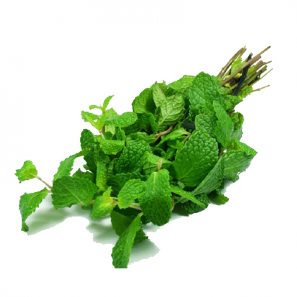 Herb Mint Leaf 薄荷叶.png