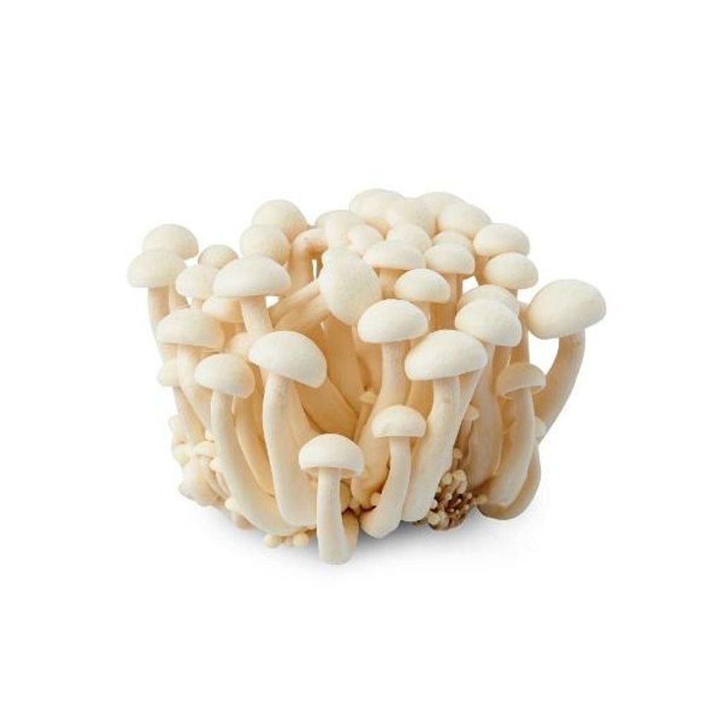 Mushroom Shimeji White 白玉菇.jpg