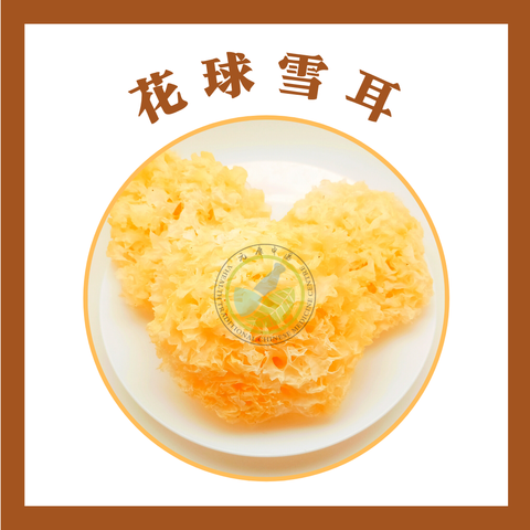 花球雪耳1.png