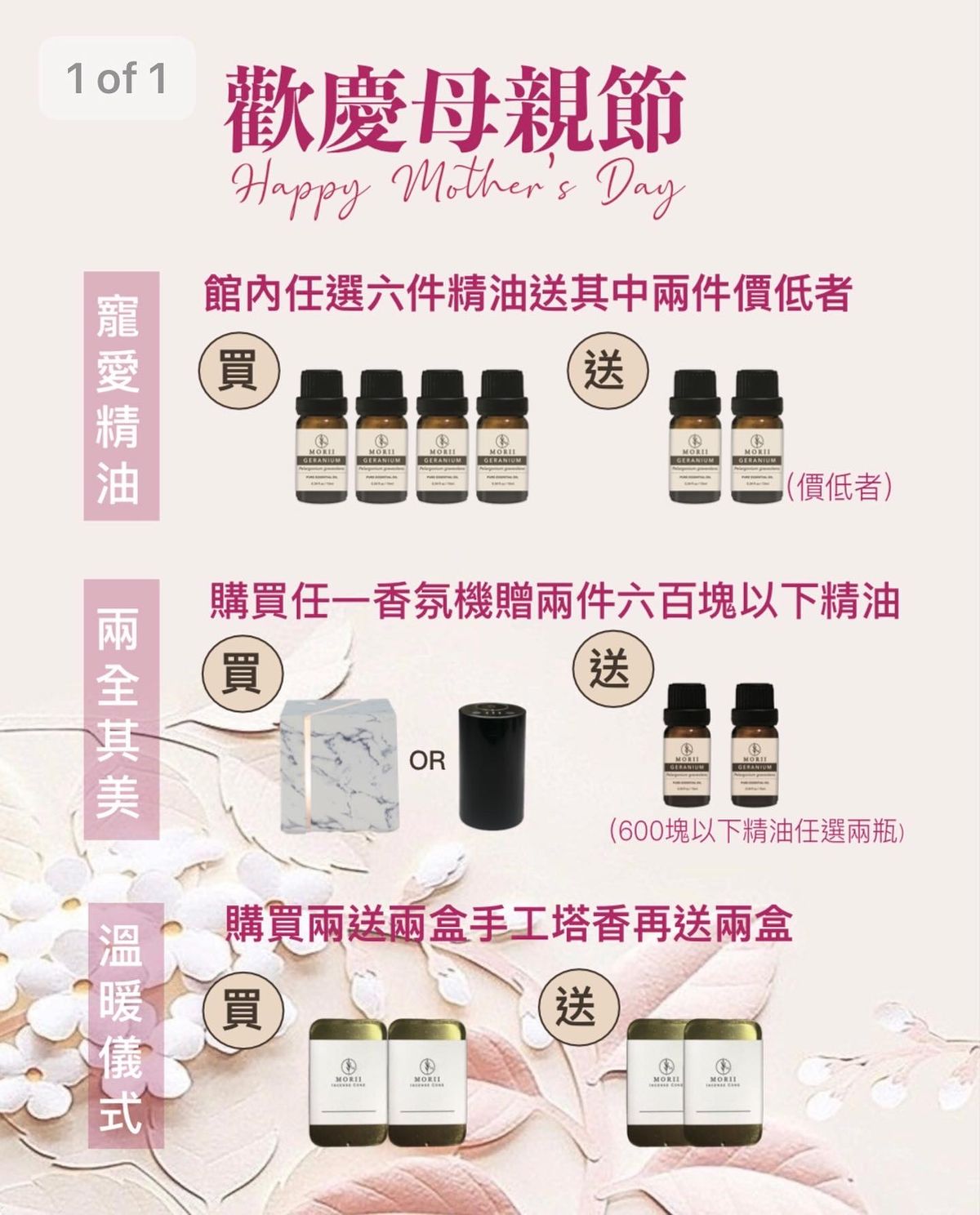 母親節活動開跑囉!