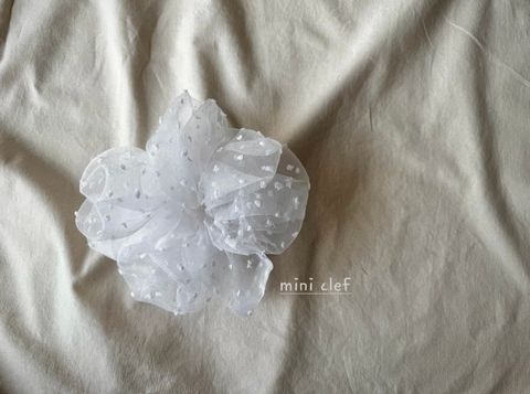 image_74AA513B-9FE8-4CB3-A6D2-5C36A9A7089E_1780047811
