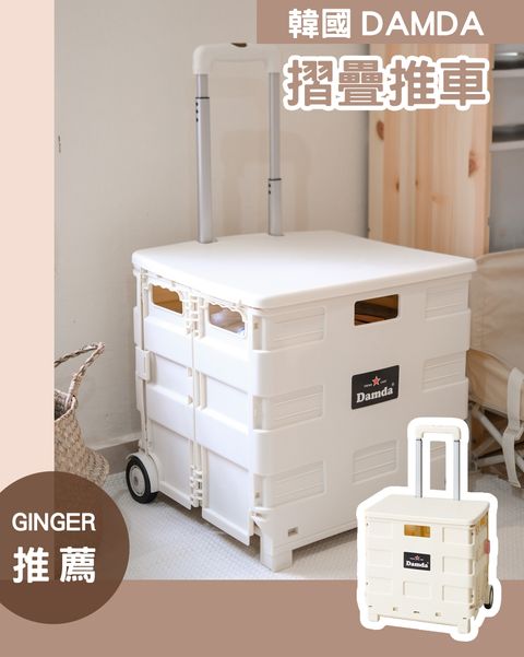 ginger x damda trolley.jpg
