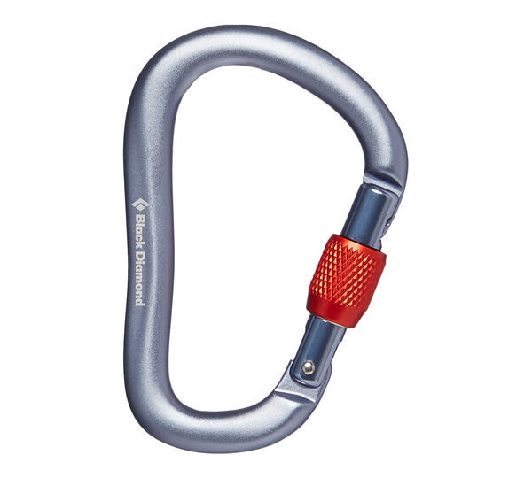 BD Rocklock Screwgate Carabiner 2020 Grey.jpg