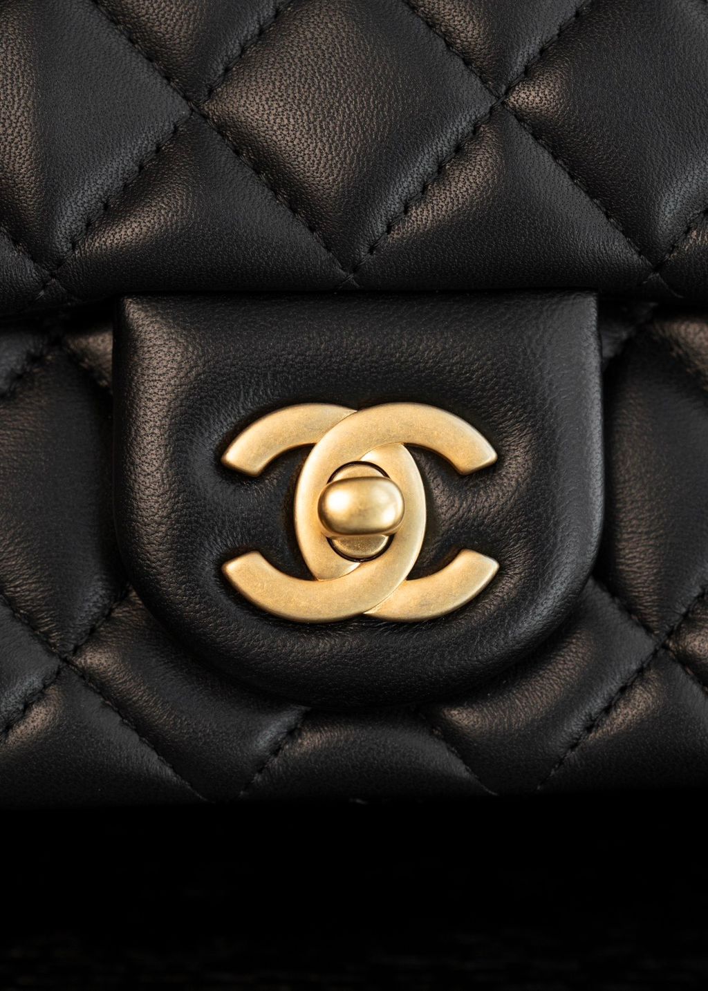 image_79AEDCA1-1E1D-494E-B235-0746DFDAB18A_1773312249