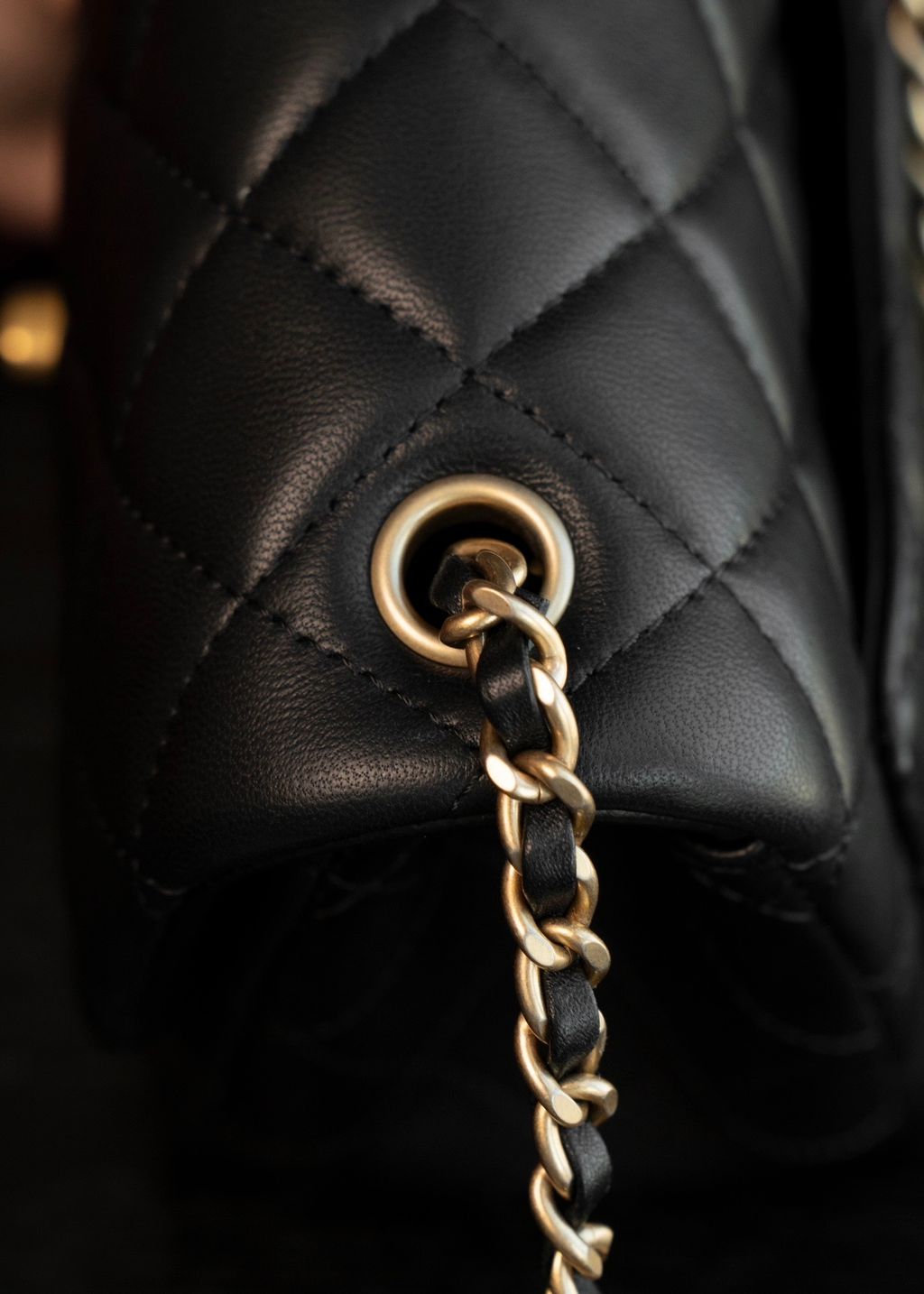 image_8A382576-FD6F-469C-800C-BEEB049FC692_1773312249