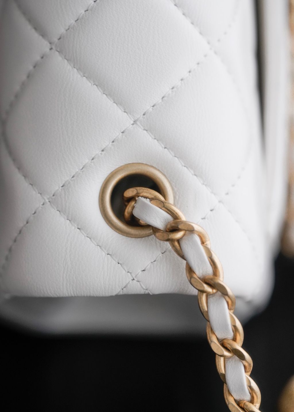 image_A5DADA64-21A7-4186-9BF7-72F6E8B1A67D_1773312686