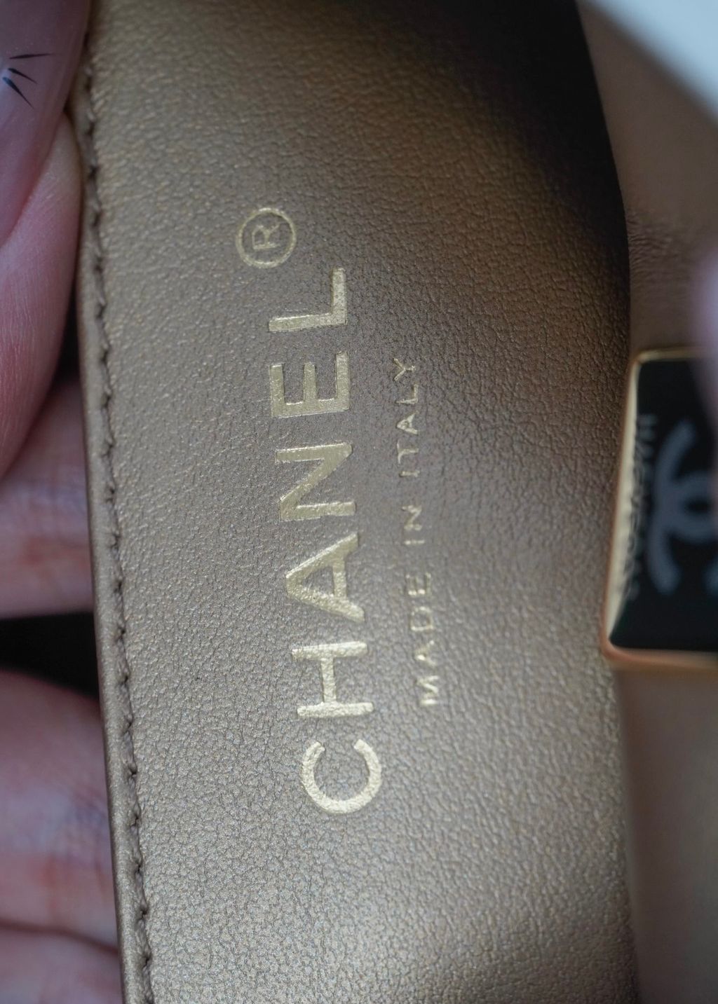 image_D87E195A-9E04-4E04-88B9-9622DDA41358_1773312686