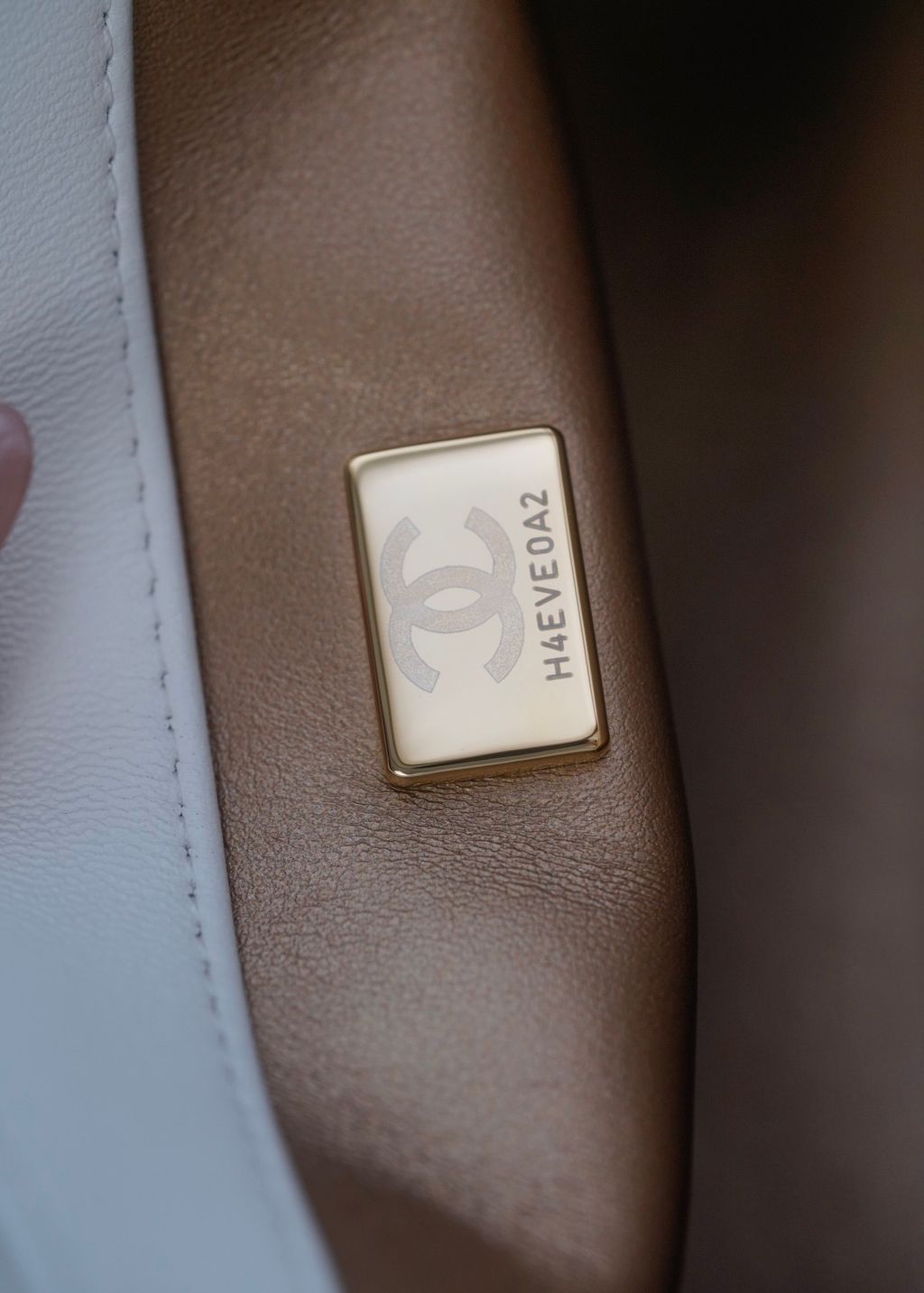 image_E71B2357-93A3-4701-B295-062BFFD57440_1773312686