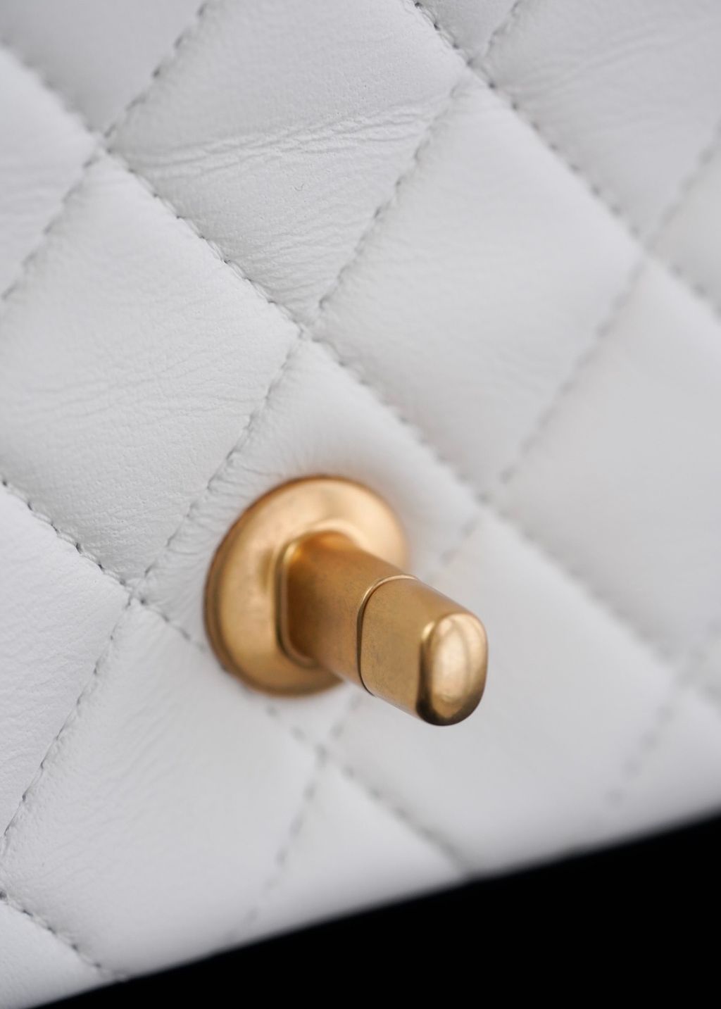 image_4C2CA411-97C7-4C89-8447-0489925B9056_1773312686